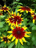 20210713_135925.webp