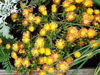 20210713_140012.webp