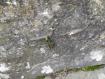 IMG_20210711_120940.jpg