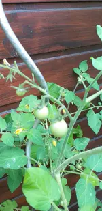 20210713_173209.webp