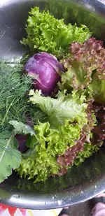 20210713_173130.webp