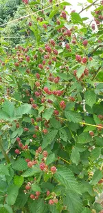 20210713_173456.webp