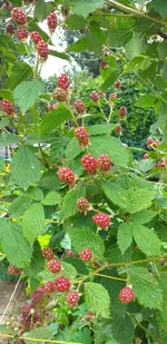 20210713_173447.webp