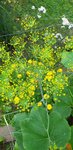 20210713_173520.jpg