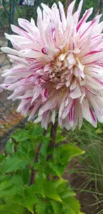 20210713_173423.webp