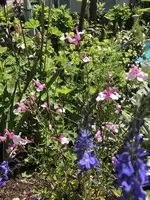 D2D05C34-54E4-48CA-9728-C90347DC8ED4.webp