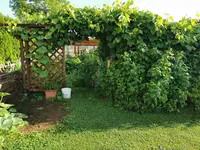 1626241306991.webp