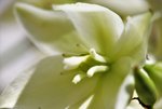 image002.jpg