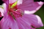 image006.jpg