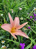 20210707_104713.webp
