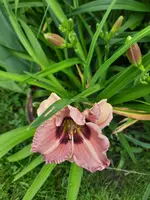 20210707_104742.webp