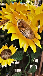 IMG_20210708_104633.webp