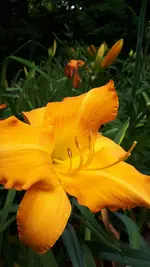 20210714_115131.webp