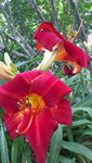 20210714_115227.jpg