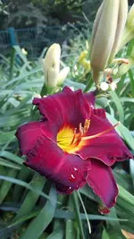20210714_115120.webp
