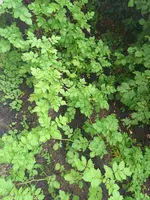 20210715_080219.webp