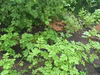 20210715_080237.webp