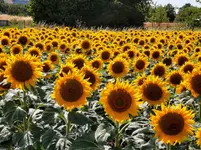 IMG_20210714_154145.webp