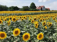 IMG_20210714_154245.webp