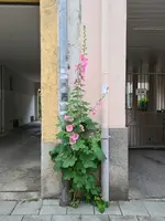20210714_115520.webp