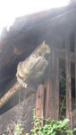 IMG_8874.JPG