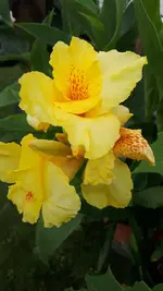 20210715_173011.webp