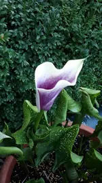 20210715_191427.webp
