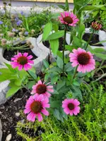 20210715_181031.webp