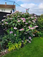 20210716_073810.webp