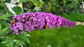 20210716_073905.webp