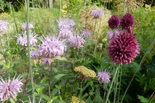 DSCN3420.webp
