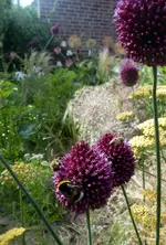 DSCN3421.webp