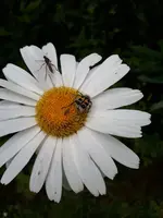 20210716_101122.webp