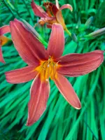 20210716_182247.webp
