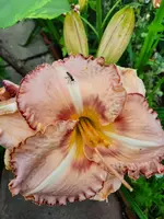 20210716_182330.webp