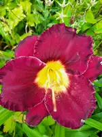 20210716_182527.webp