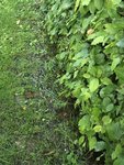 IMG_2249.JPG