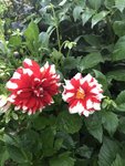IMG_2256.JPG