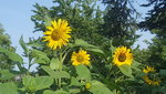 20210716_182451.jpg