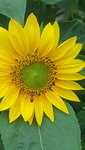 20210713_182535.jpg