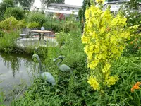 DSC01904.JPG