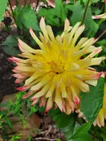 20210717_120843.webp