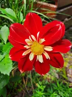 20210717_120852.webp