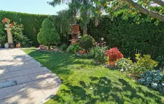 IMG_20210710_100218.webp