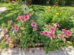 IMG_20210710_100936.jpg