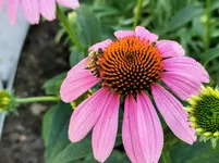 IMG_20210712_170543.webp
