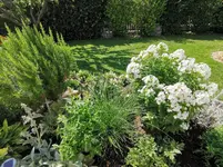 IMG_20210710_101233.webp