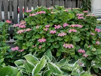 IMG_20210716_172236.webp