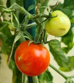 20210717_125219.webp