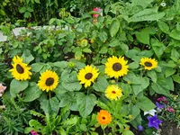 20210717_122113.webp